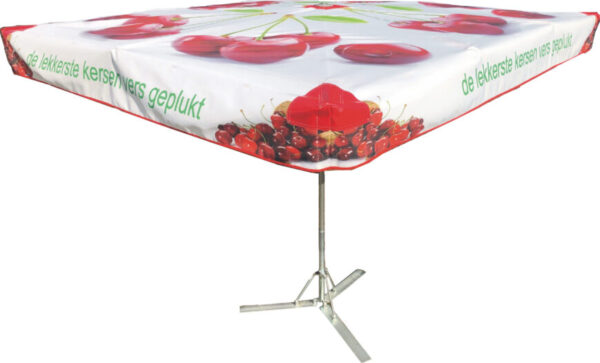 Thema Parasol - Afbeelding 2